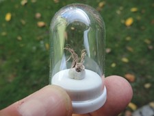 gediegen Silber aus Schneeberg im Erzgebirge