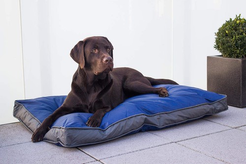 Hundekissen outdoor 105x67 - outdoor,
