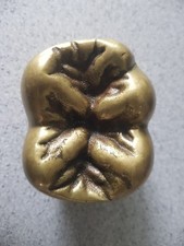 Zahn Backenzahn Messing Briefbeschwerer Skulptur