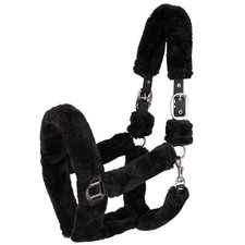 Waldhausen Schwarz VB Halfter Cozy