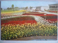 Erfurt, Internationale Gartenbauausstellung 1961