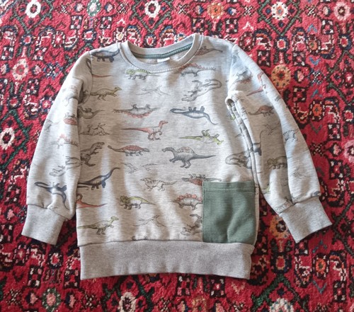Pullover mit dinosauriern - pullover,