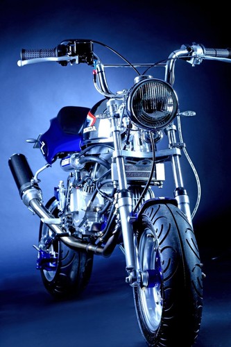 Honda monkey 125 liebhaber - honda, 125.