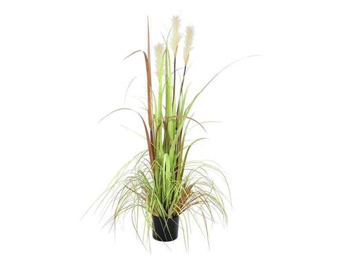 Europalms wildwuchs 120cm - wildwuchs,,