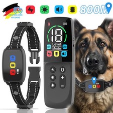 Smart Hund Ausbildung