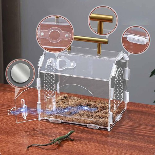 Futterbox für reptilien - futterbox,
