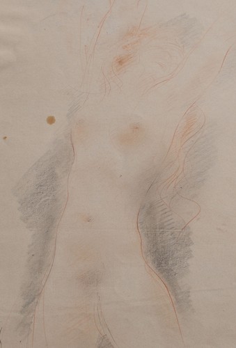 Willi schmid frauenakt studie - willi,
