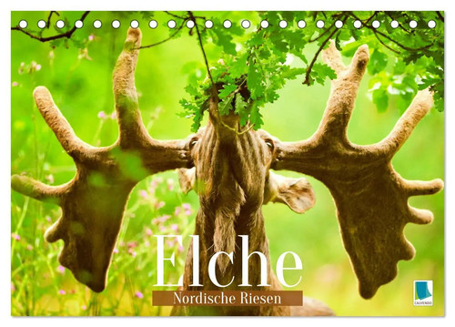 Calvendo elche - calvendo,