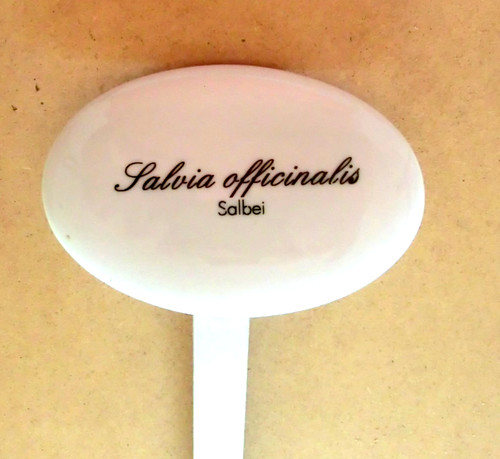 Kräuterschild oval porzellan - kräuterschild, oval,