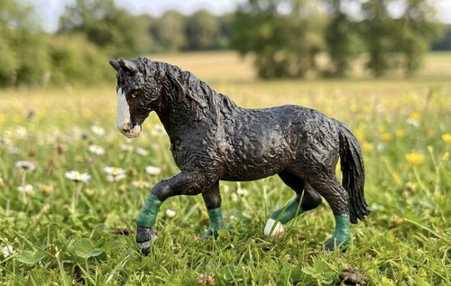 Schleich pferd repainted - schleich, cust