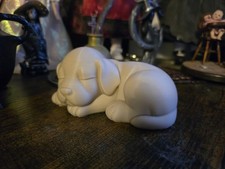 Golden Labrador Schlafender