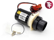 Jabsco 37072-0094 Motor