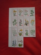 Original DDR DRK Deutsches