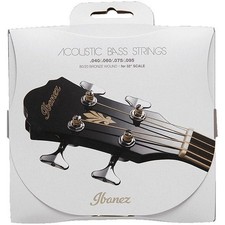 Saiten Akustikbass Ibanez