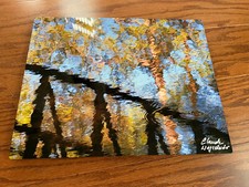 ‘Spring Bridge’