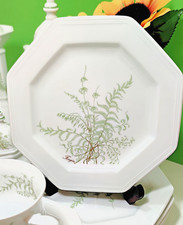 Villeroy & Boch Gallo Leonardo Fougere Design Kuchenteller Sommerfarn 1a Zustand