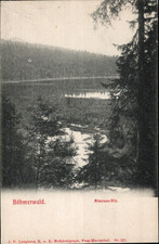 Böhmerwald , Arbersee - Filz