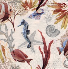 3 Servietten ~ Maritim, Muscheln, Korallen, Seesterne, Fisch, Seepferd ~ 33x33