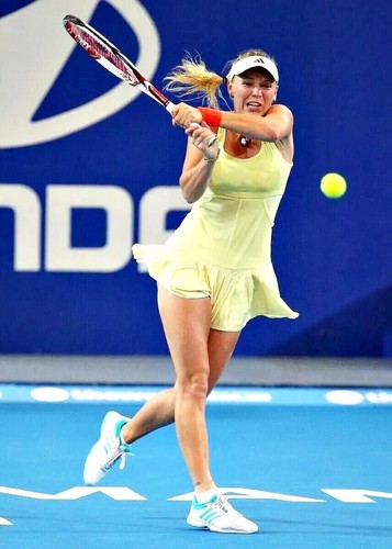 Tennis dress shorts - &, shorts.