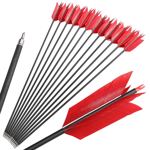 12pcs carbonpfeile sp500 - carbonpfeile,