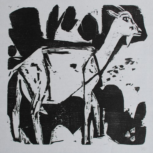 Willi titze ziege tierstudie - ziege,