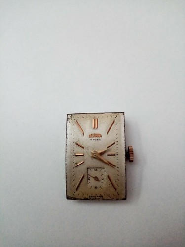 Delbana watch movement - delbana,