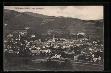 Freiwaldau, Generalansicht der Stadt, Ansichtskarte 