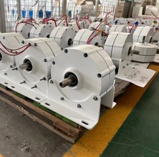 Polnisches Lager 2000W 48V Permanentmagnetgenerator Dual Welle