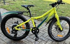 Scott Roxter 20 Zoll