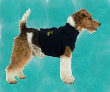 ⭐ MPS OP Body Shirt 4-in-1