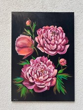   Pfingstrosen  Blumen  Große