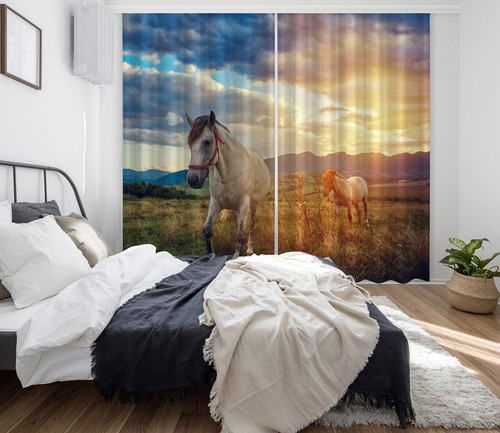 Trauriges pferd zhuc526 - pferd,