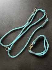 Hundeleine und Halsband