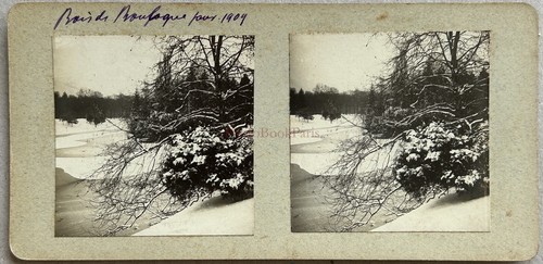 Paris holz boulogne unter der - unter,