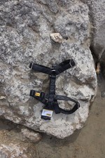 Hochwertiges Hunde-H-Geschirr