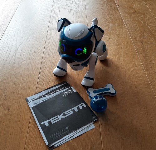 Teksta roboter hund - teksta, mit
