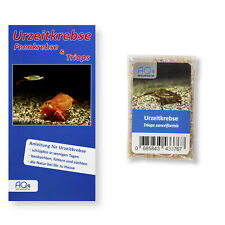 Triops cancriformis -