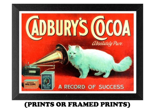 Cadbury cocoa vintage - cadbury's,