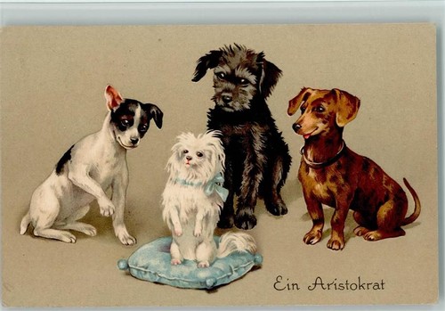 Litho ein aristokrat - litho,