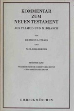 Kommentar zum Neuen Testament