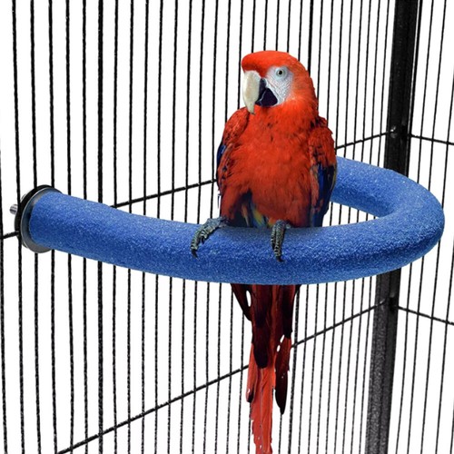 Papagei barsch vogel - u, form