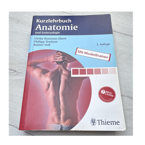 Thieme kurzlehrbuch anatomie - thieme,