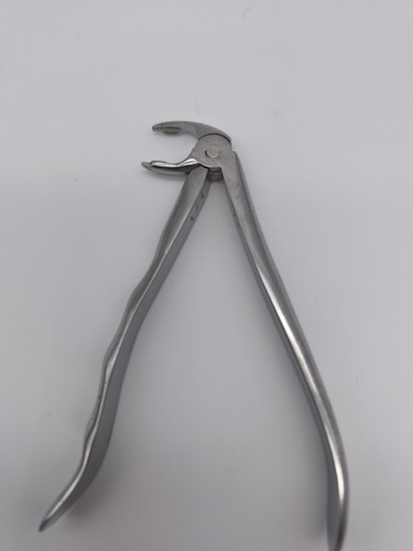 Orbis-Dental