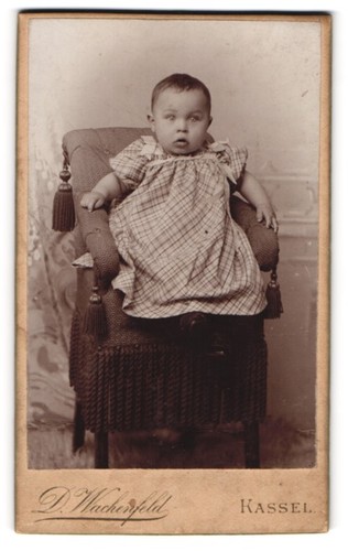 Fotografie wachenfeld - fotografie,