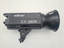 WALIMEX CY-260K Studio Blitzgerät - Blitzröhre defekt