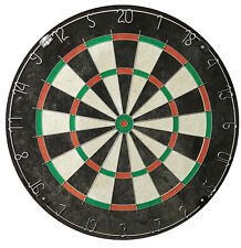 Roleo Steeldart Scheibe