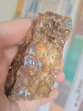 Molybdänit - Stbr. Niederbobritzsch bei Freiberg 