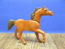 Pferd, Araber aus 5518 9259