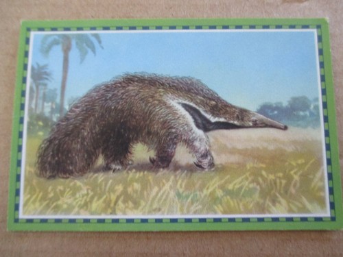 Bild chlorodont - 1.bild,