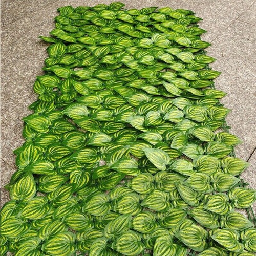 30m sichtschutzhecke - 3-30m,
